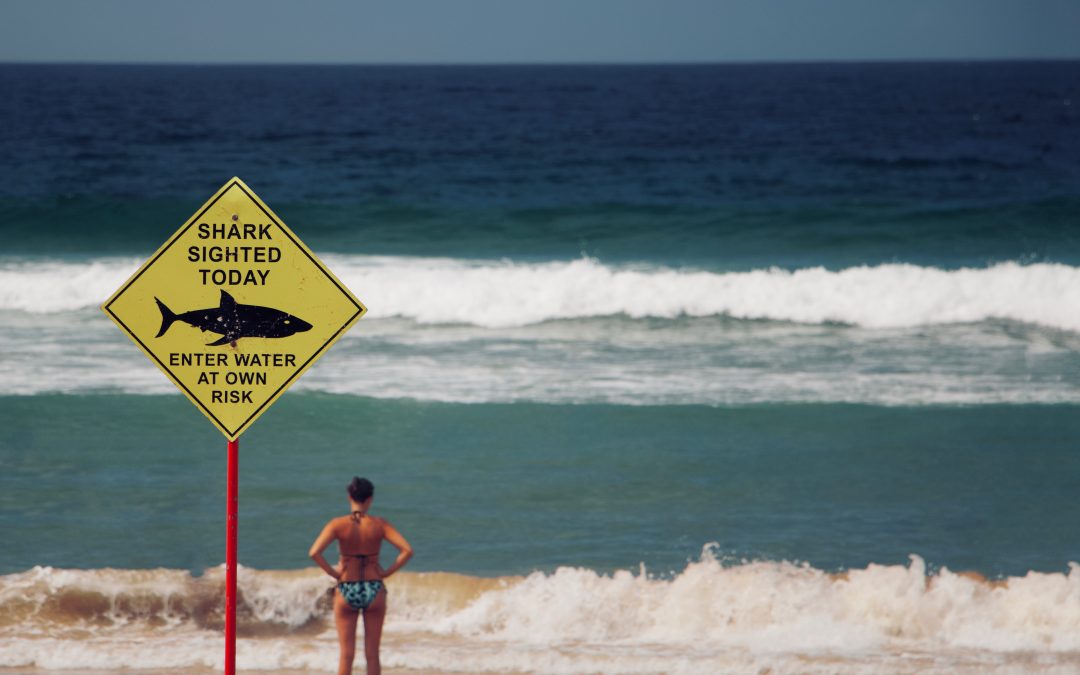 shark-sign-beach-woman